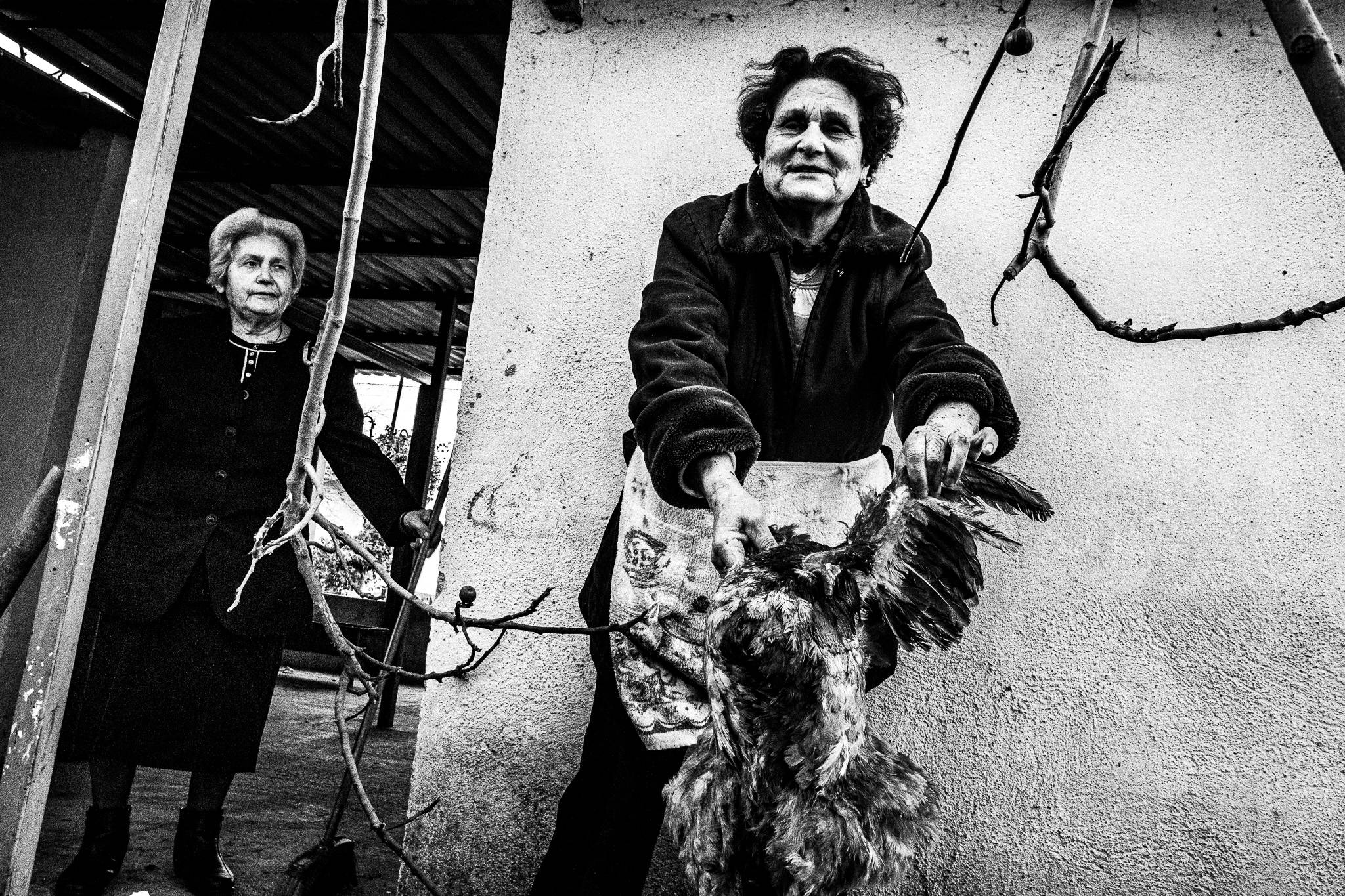 Slaying a rooster, Pagan Christmas customs of Northern Greece, by photographer George Tatakis