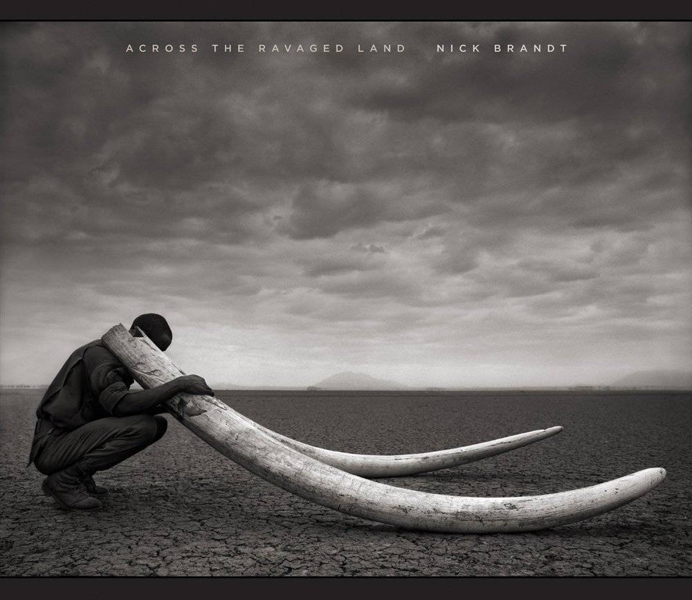 Essential Photography Books for a Photo Library. List by Photographer George Tatakis.