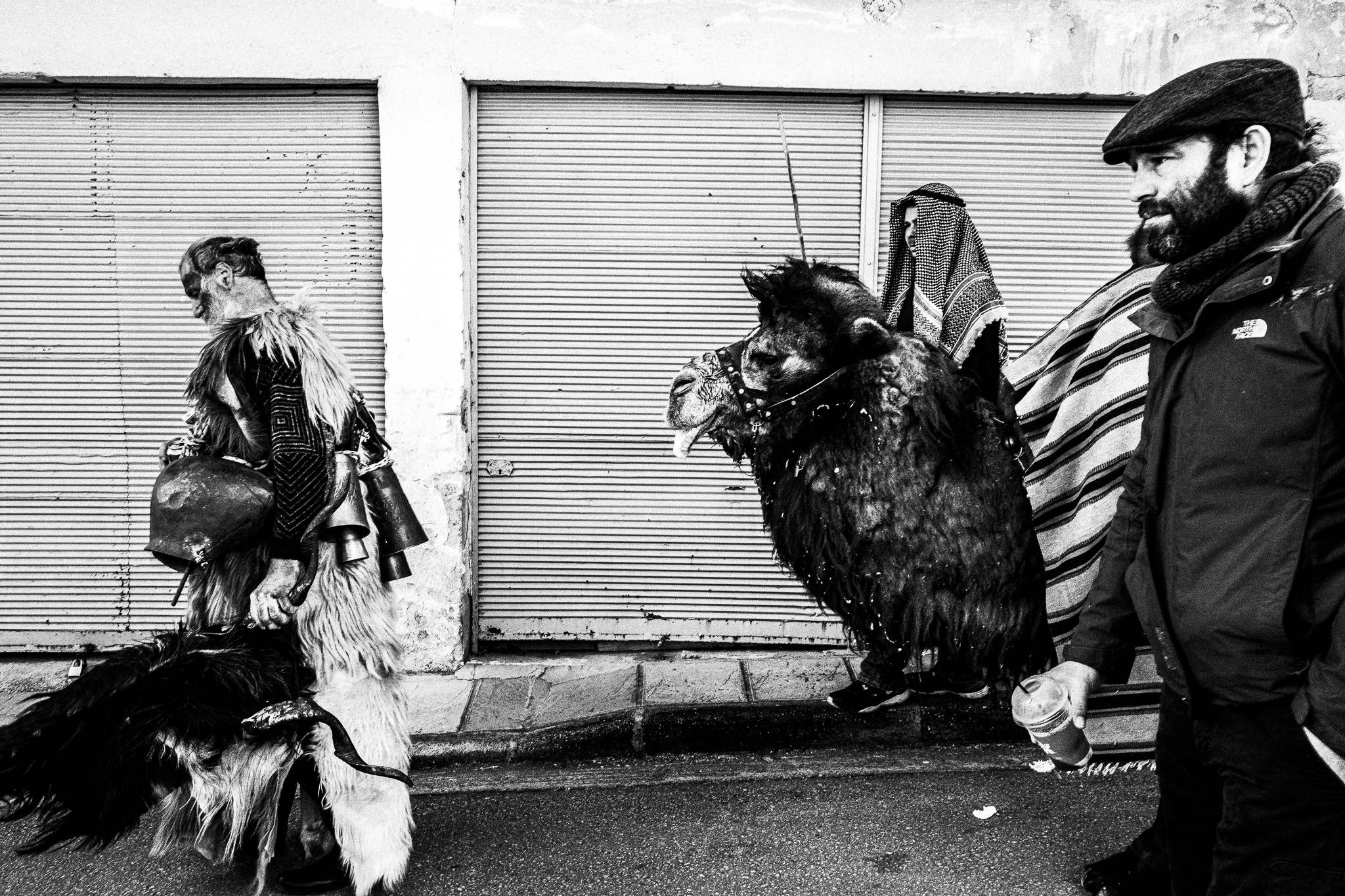 The camel of Babiden, Pagan Christmas customs of Northern Greece, by photographer George Tatakis
