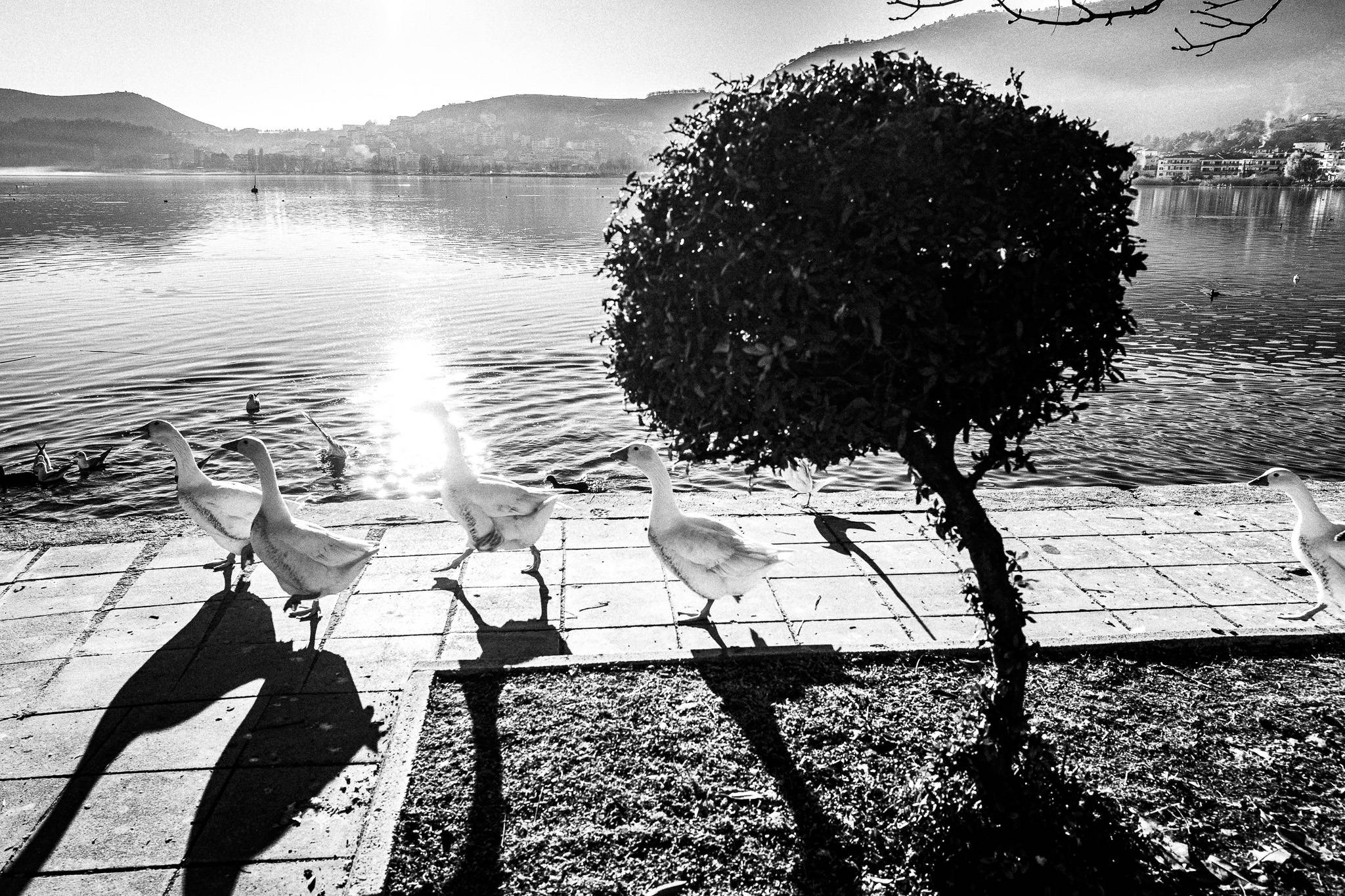 The lake of Kastoria, Pagan Christmas customs of Northern Greece, by photographer George Tatakis
