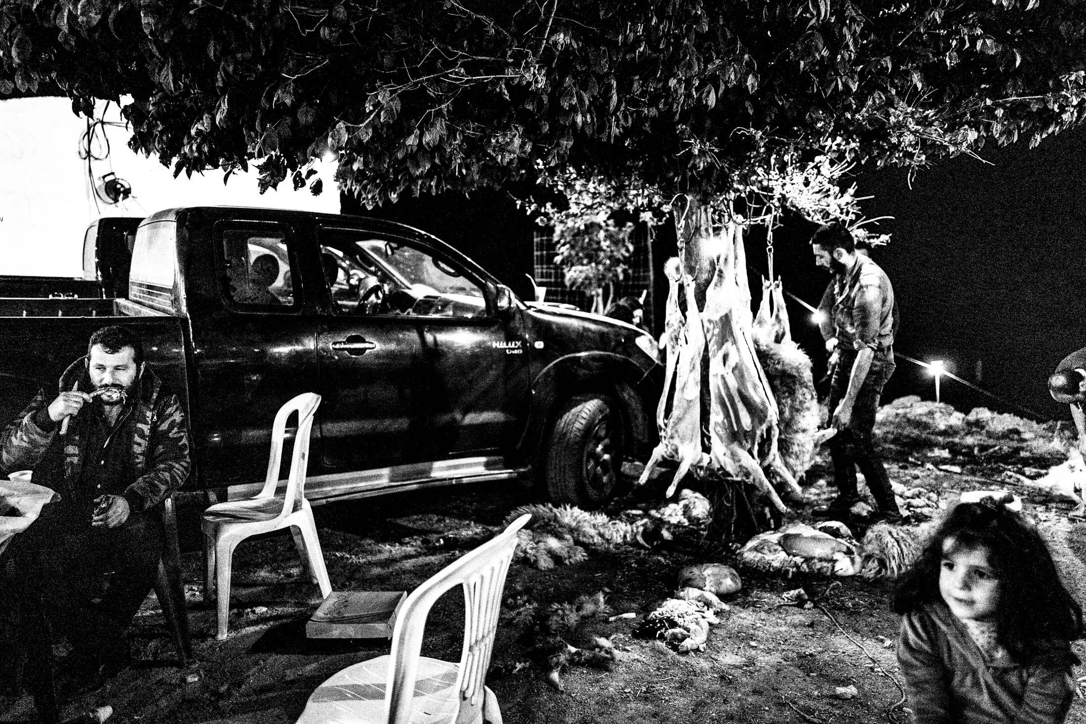 Slaughtering lambs during St Fanouris' celebration at Psiloritis, Anogia, Rethymnon, Crete, by photographer George Tatakis