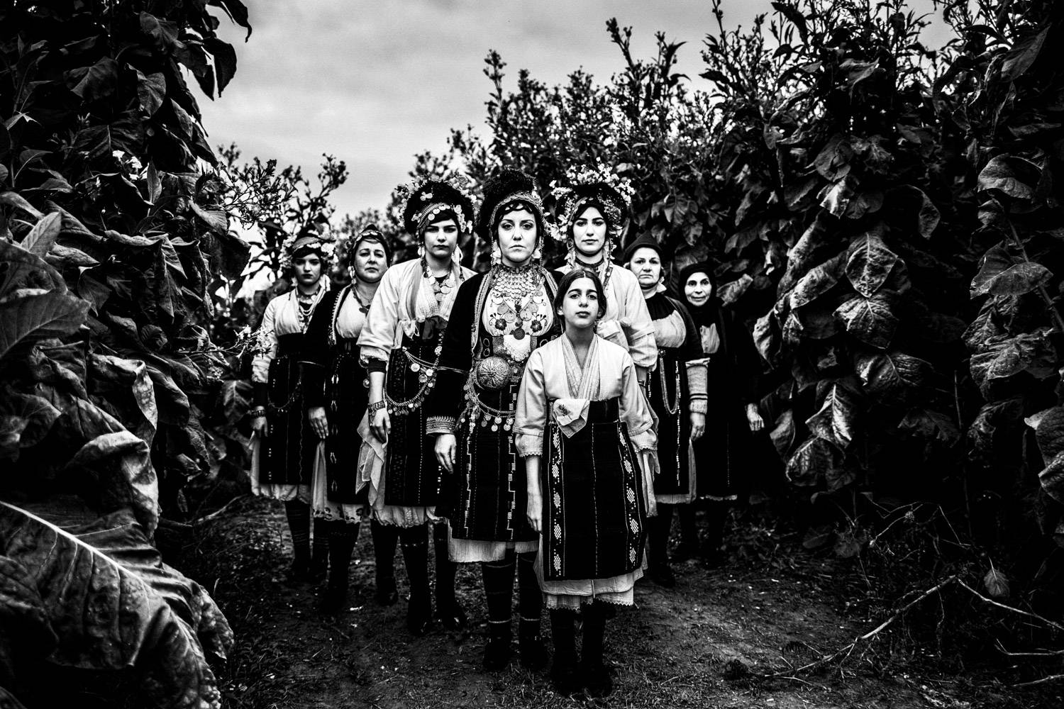 A group of women in the traditional folklore dresses of 'Roumlouki', posing amidst a tobacco implantation. Meliki, Imathia, Macedonia, Greece. Black and white photograph by George Tatakis