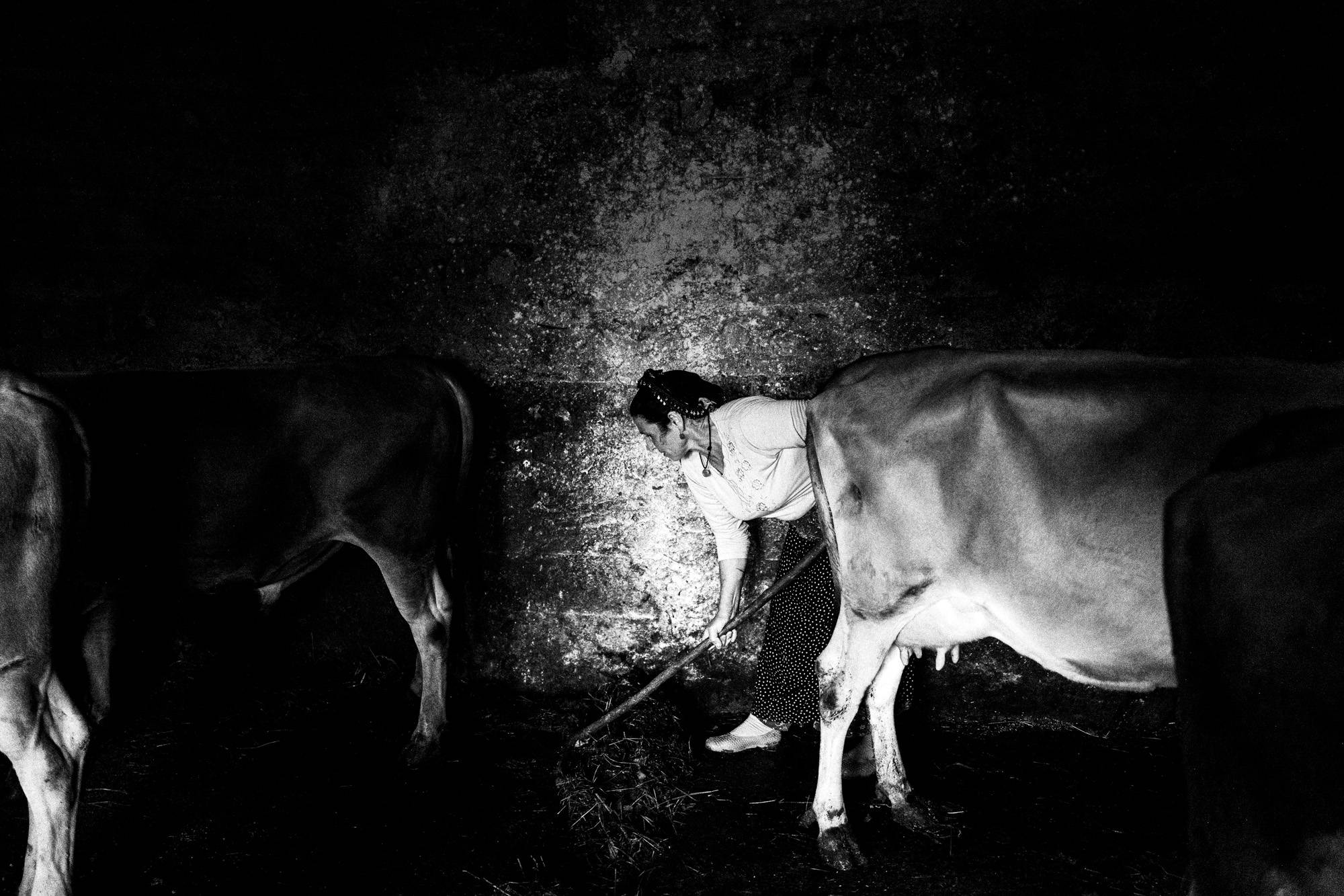 Exploring Trabzon: Tracing my Pontic Roots and Heritage, by photographer George Tatakis