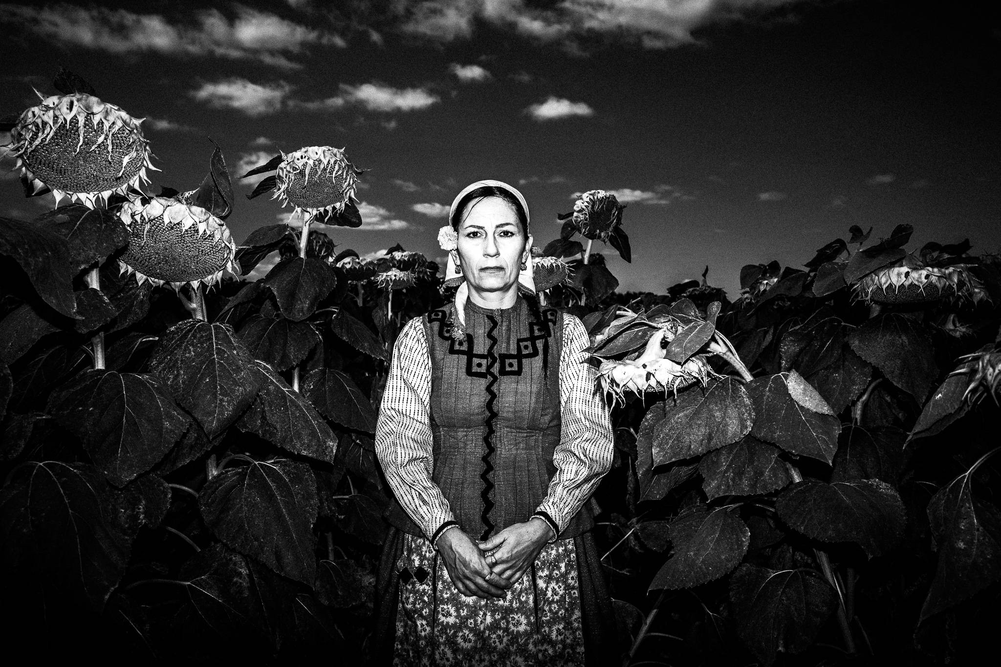 Between sunflowers at Nea Vyssa, Evros, Thrace, Greece, by photographer George Tatakis