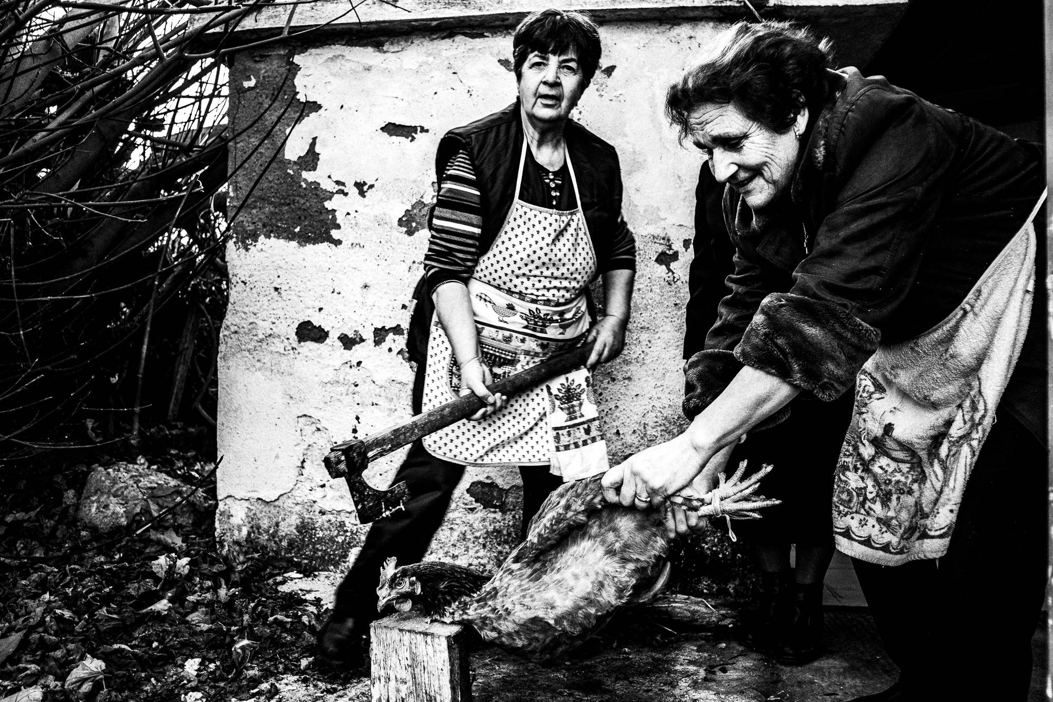 Slaying a rooster, Pagan Christmas customs of Northern Greece, by photographer George Tatakis