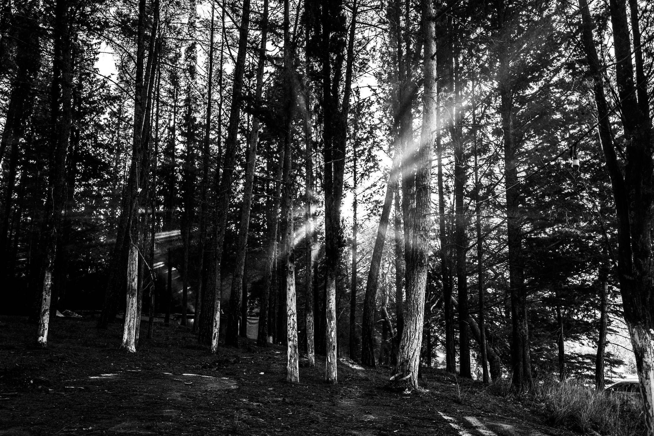 St. Simeon Festivals in Missolonghi, Greece. Black and White Photography by George Tatakis.