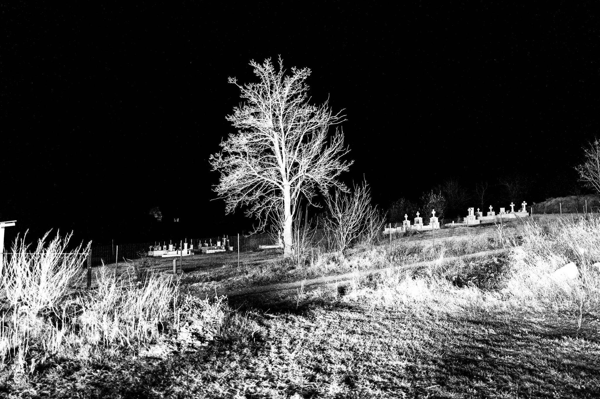 A tree, Pagan Christmas customs of Northern Greece, by photographer George Tatakis