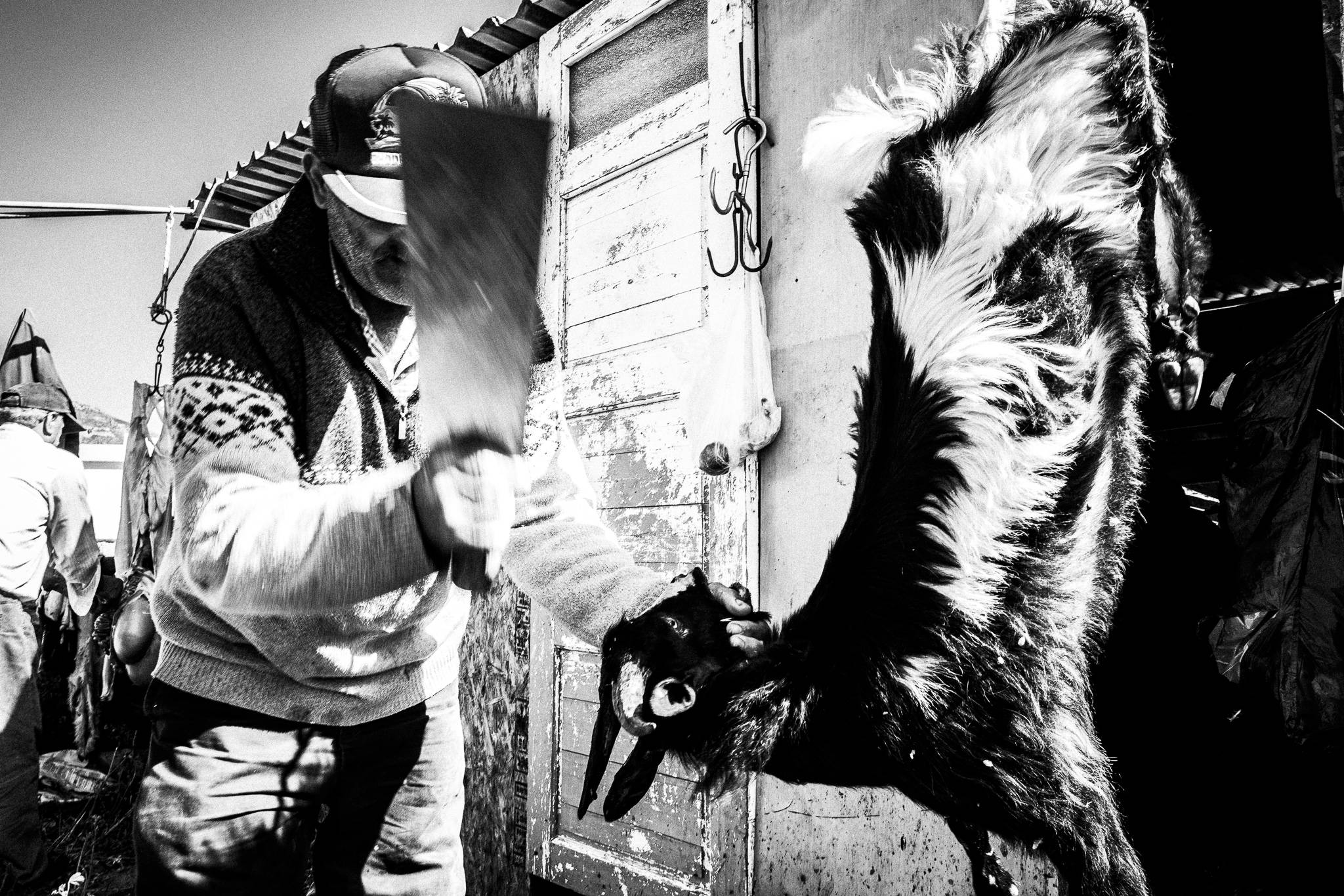 A man, slaying a goat for Easter. Olympos, Karpathos, Greece