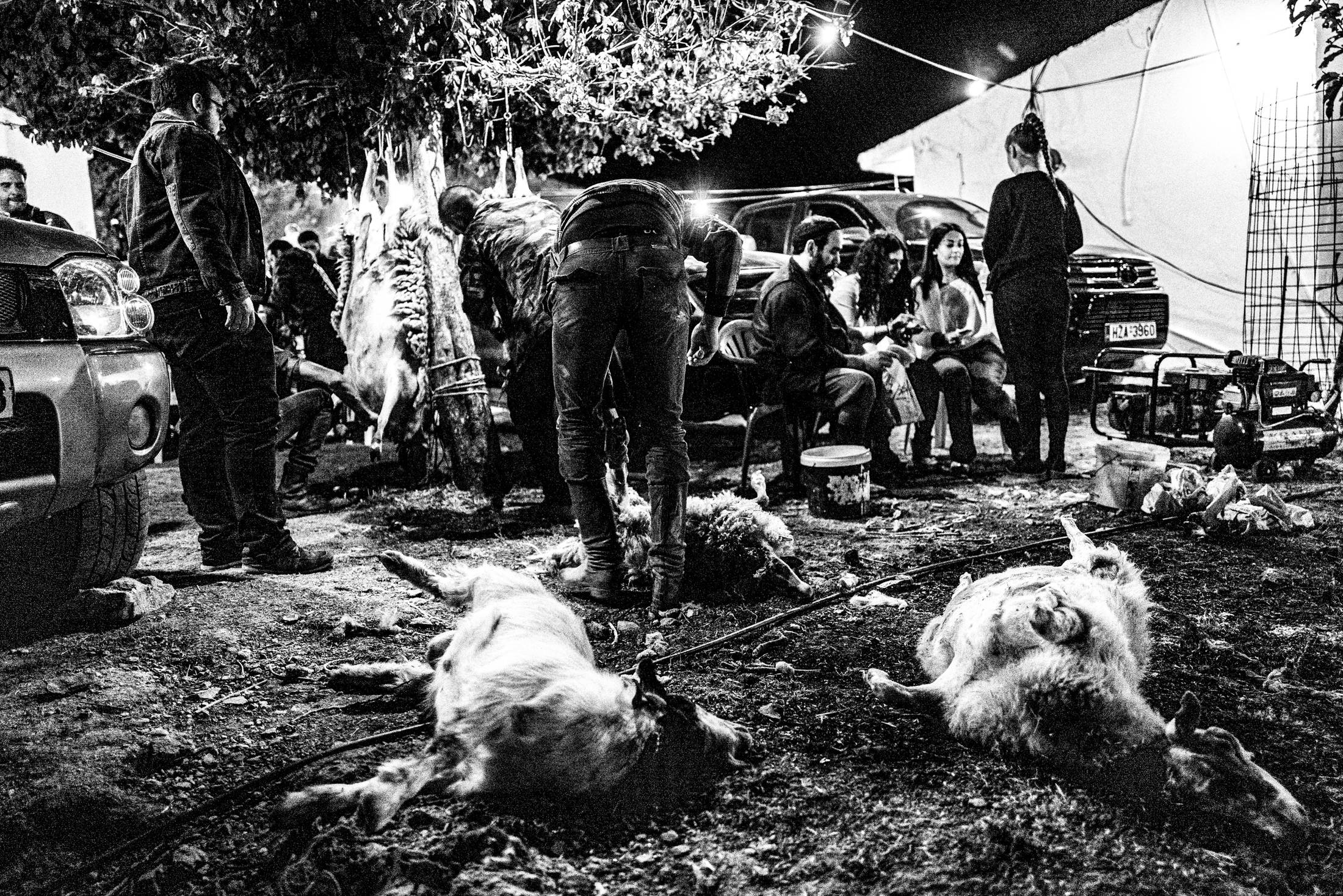 Slaughtering lambs during St Fanouris' celebration at Psiloritis, Anogia, Rethymnon, Crete, by photographer George Tatakis