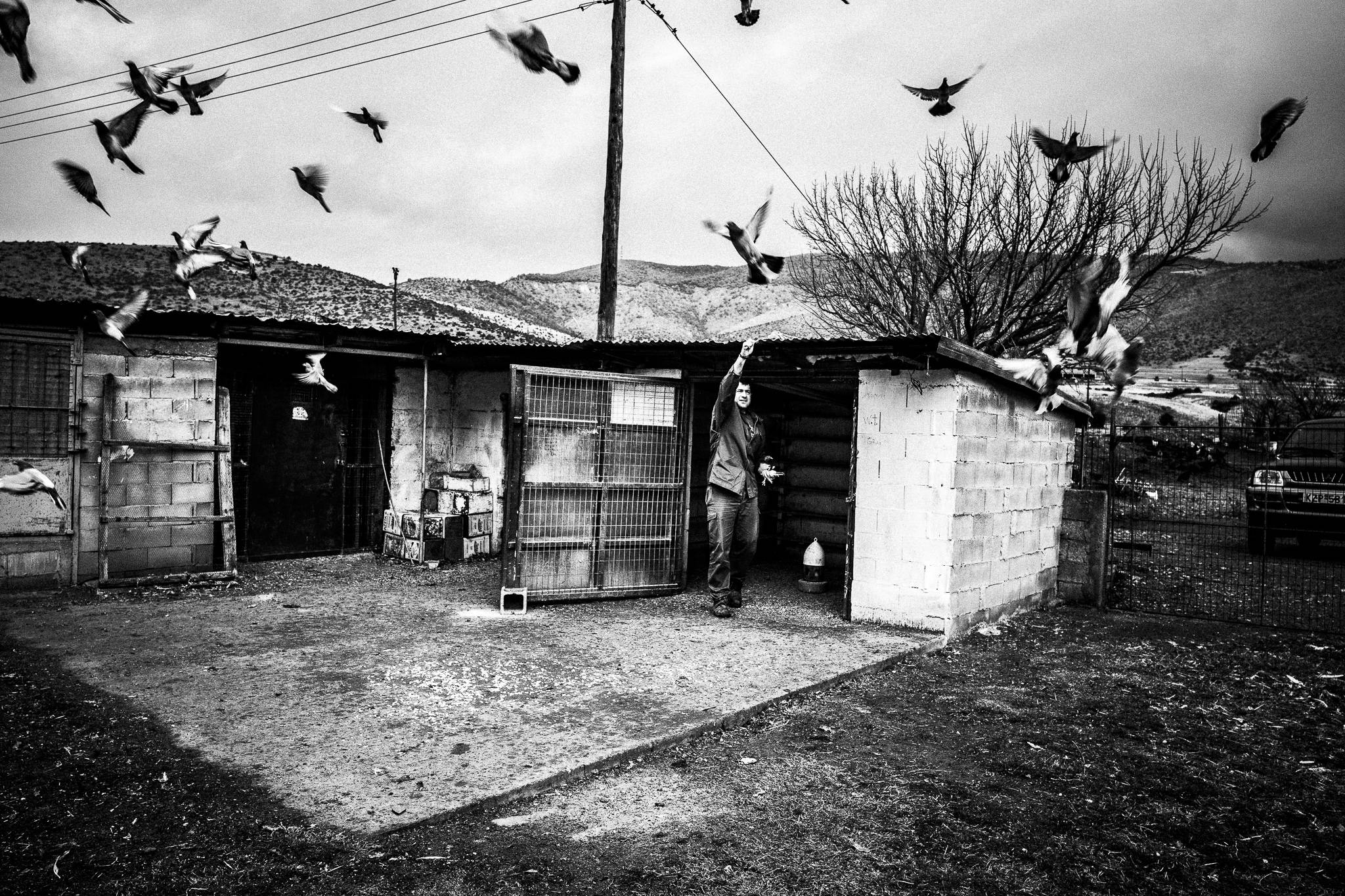 Kotsamania in Tetralofos Greece. Western Macedonia. Tetralofos. © George Tatakis