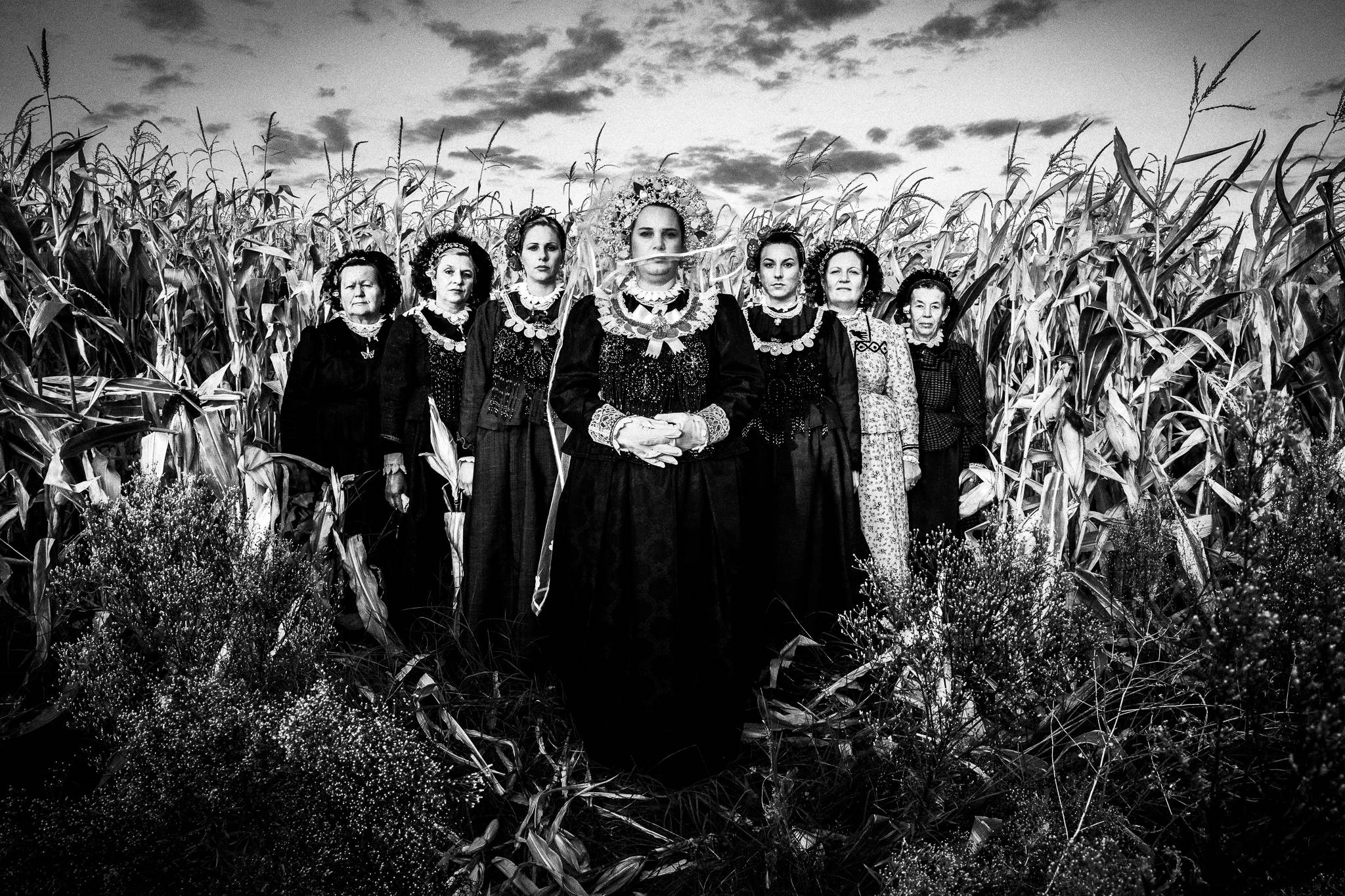 The group amongst the corn in Nea Vyssa, Evros, Thrace, Greece, by photographer George Tatakis