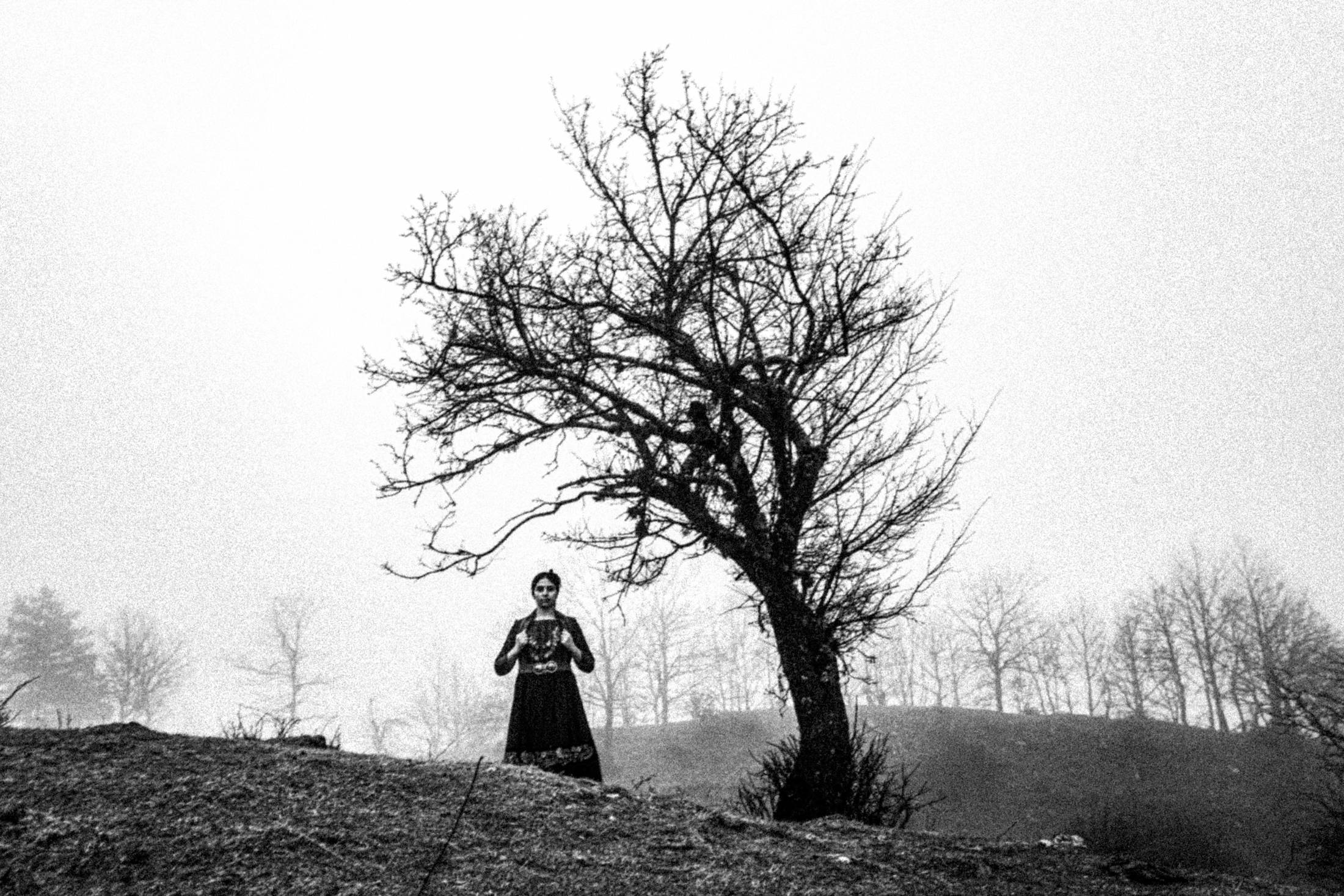 Epirus, Greece: A single tree. Traditional Women's Dresses. Photography by George Tatakis
