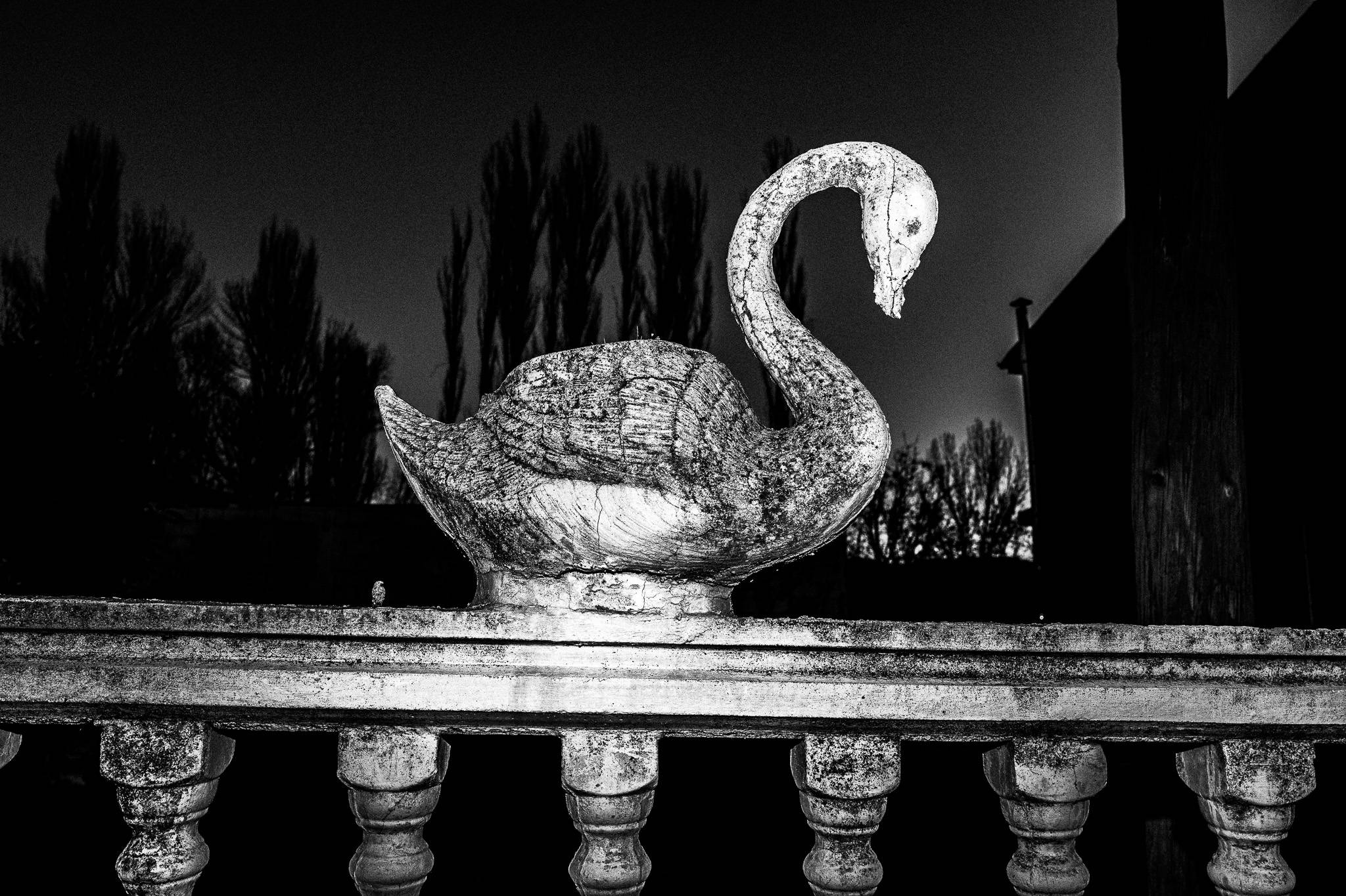 A decoration around the village, Pagan Christmas customs of Northern Greece, by photographer George Tatakis