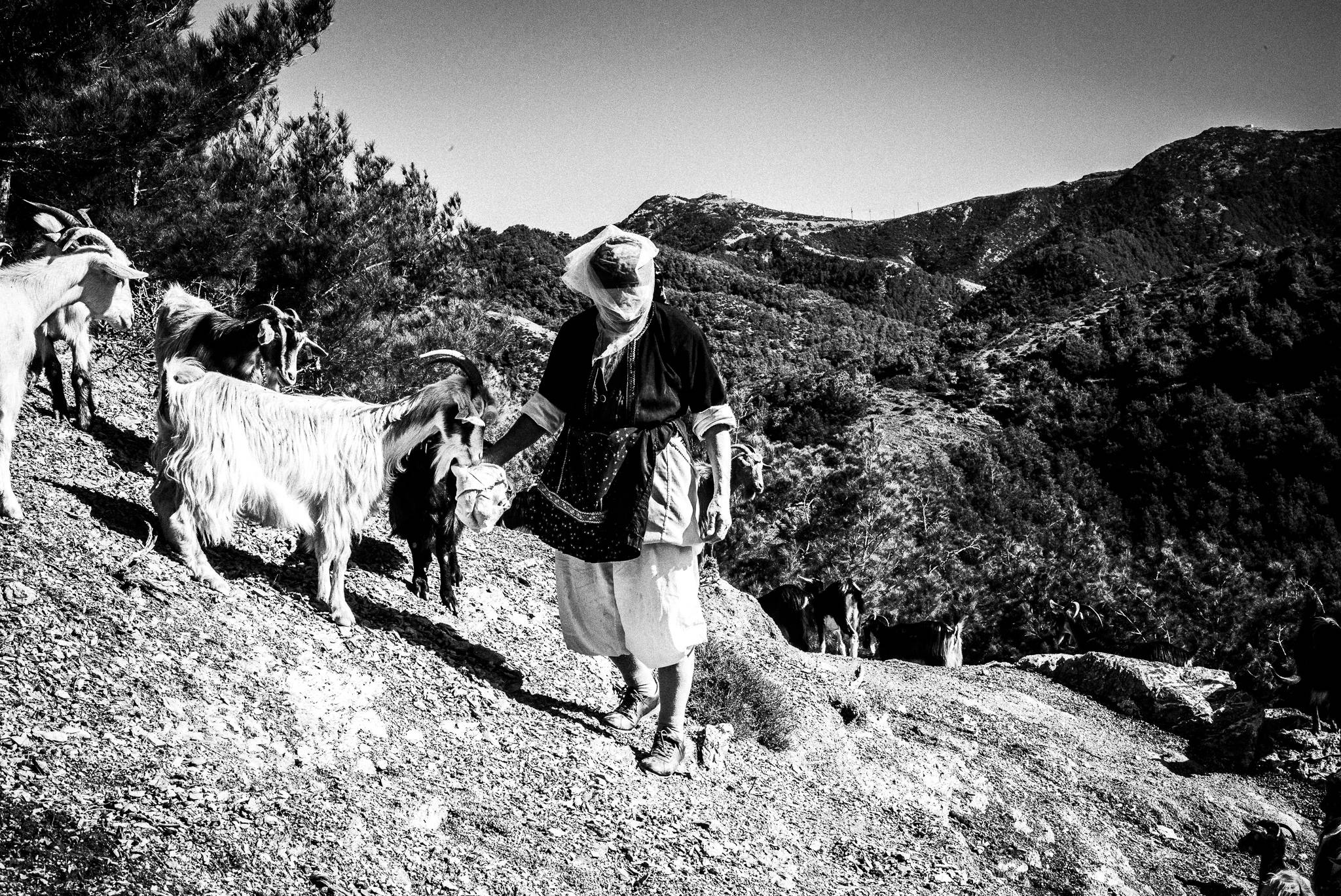 Feeding the goats, Olympos, Karpathos, Greece. Black and white photography by George Tatakis
