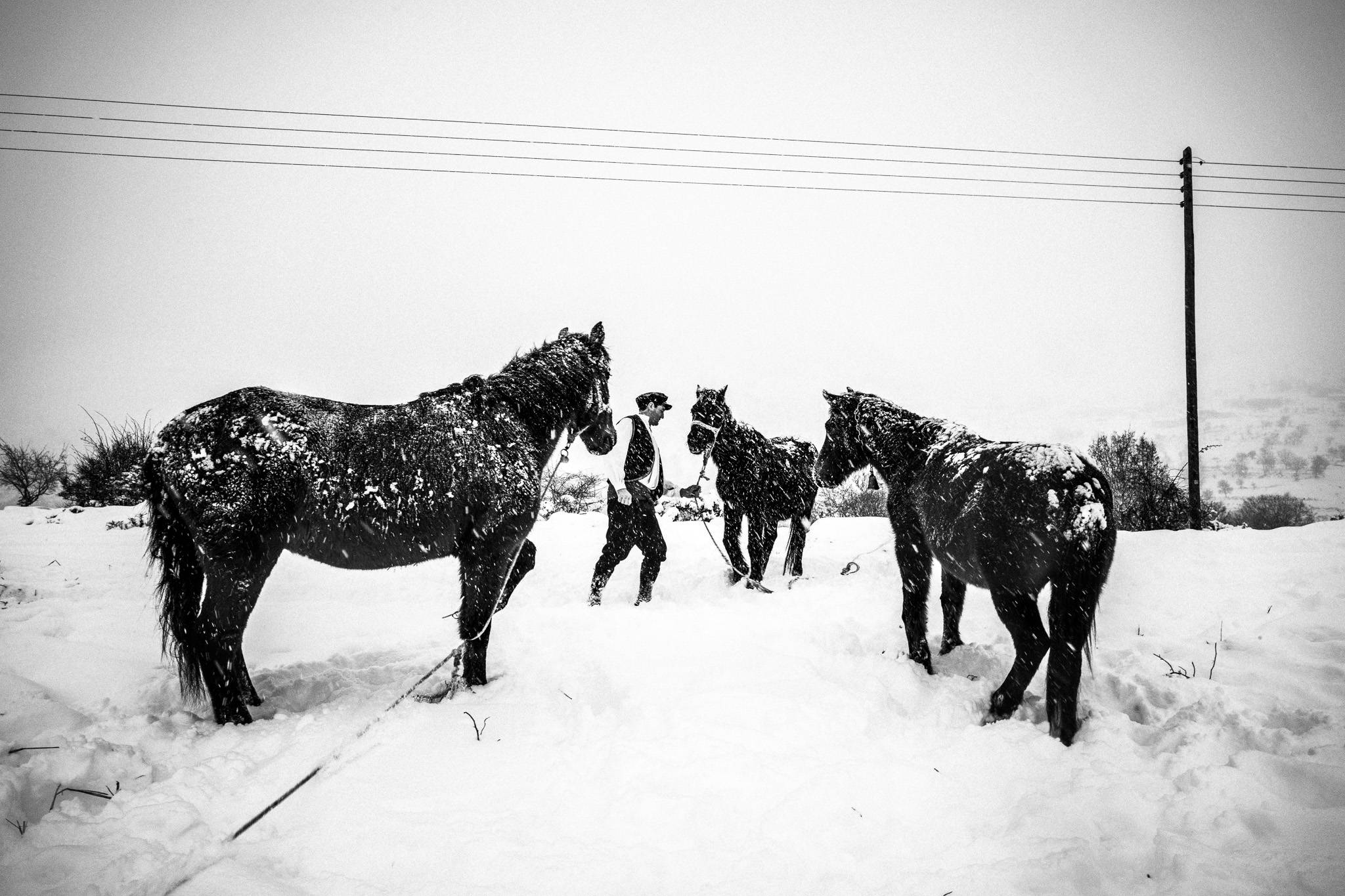 Yorgos herding his horses in the snow, Pagan Christmas customs of Northern Greece, by photographer George Tatakis