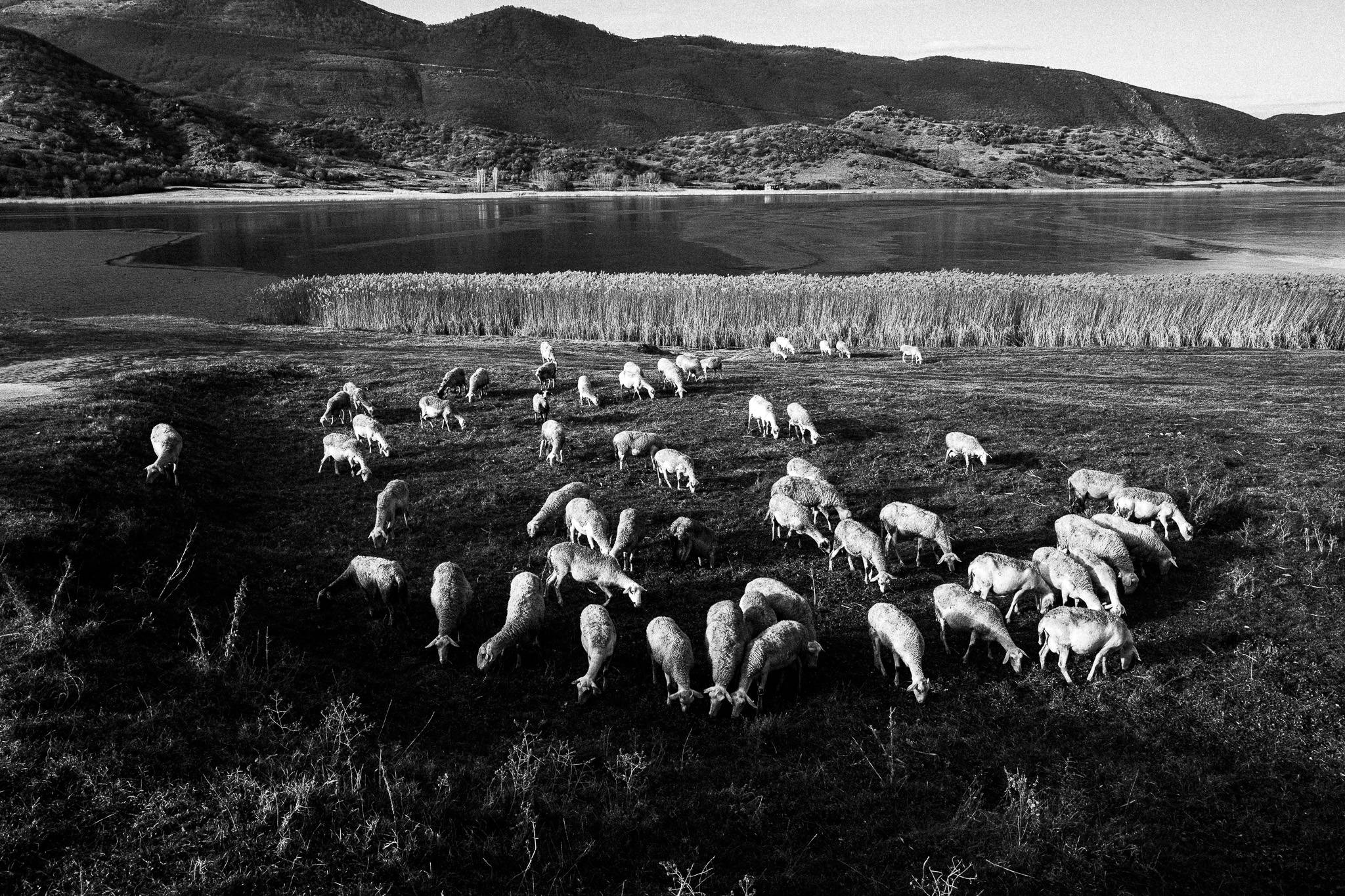 Near Prespes, Pagan Christmas customs of Northern Greece, by photographer George Tatakis