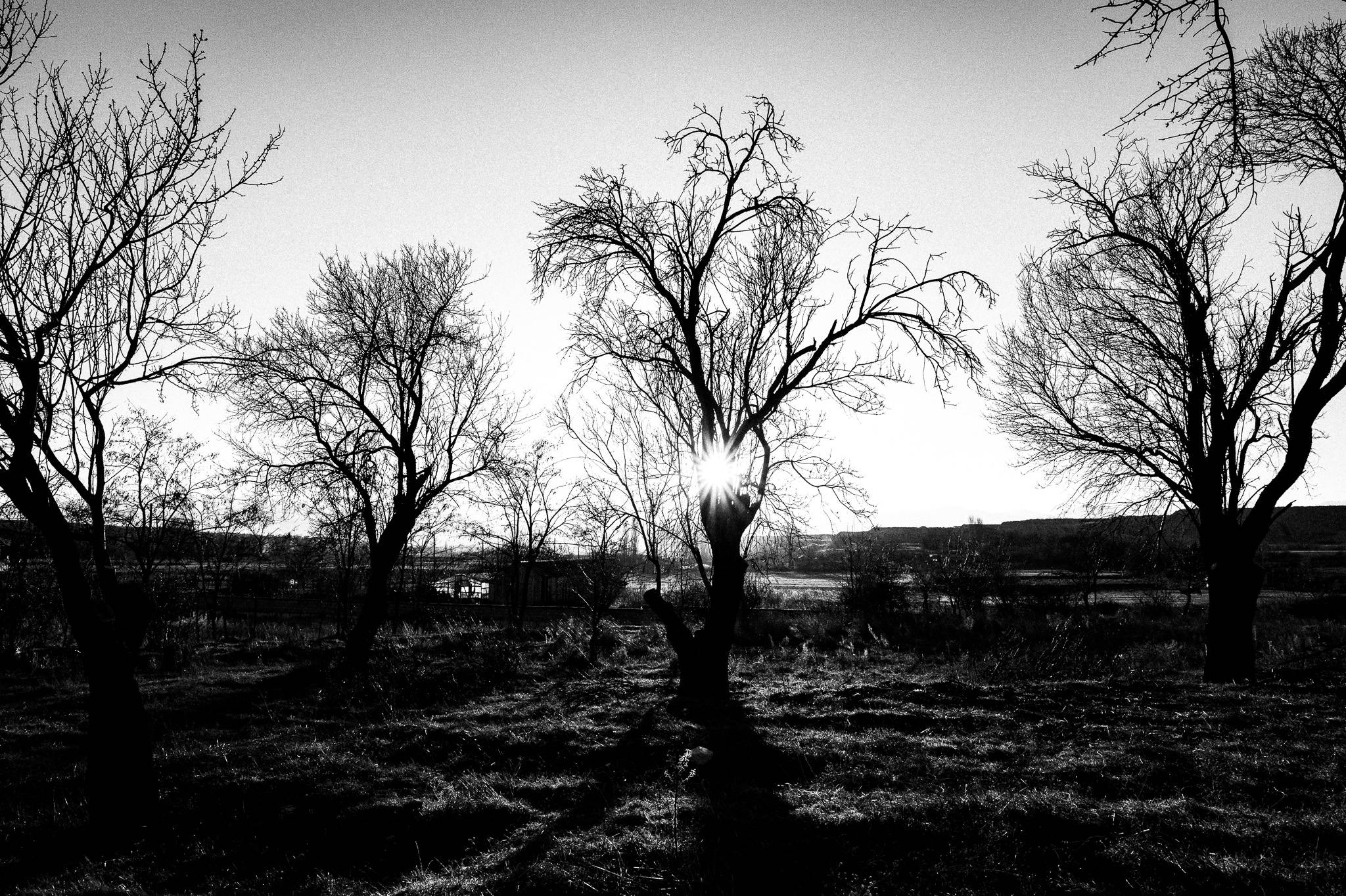 Near Prespes, Pagan Christmas customs of Northern Greece, by photographer George Tatakis