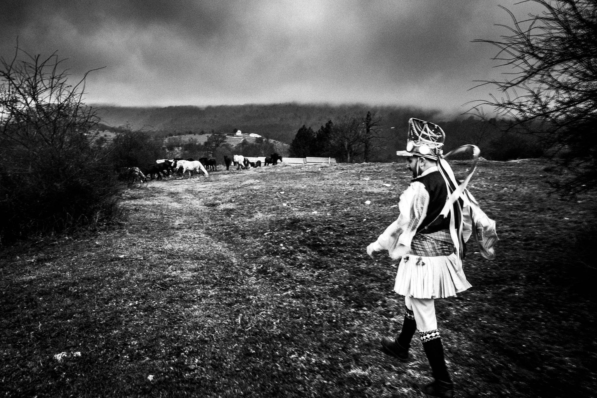 Kotsamania in Tetralofos Greece. Western Macedonia. Tetralofos. © George Tatakis