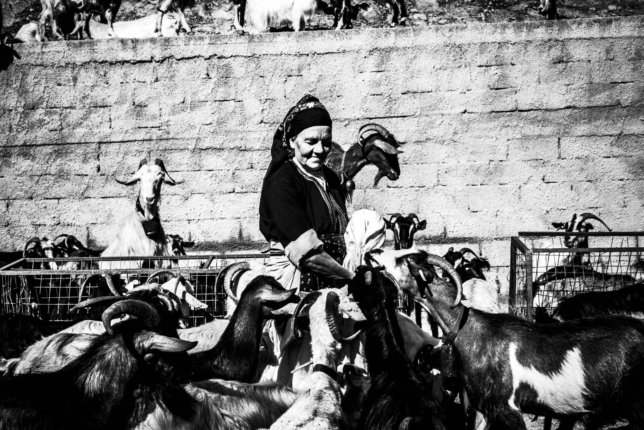Sofia feeding the goats at her farm, Olympos, Karpathos, Greece. Black and white photography by George Tatakis