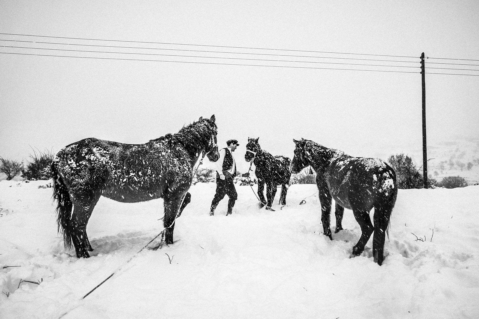 A man herding his horses in the middle of a snowstorm. Black and white photograph by George Tatakis