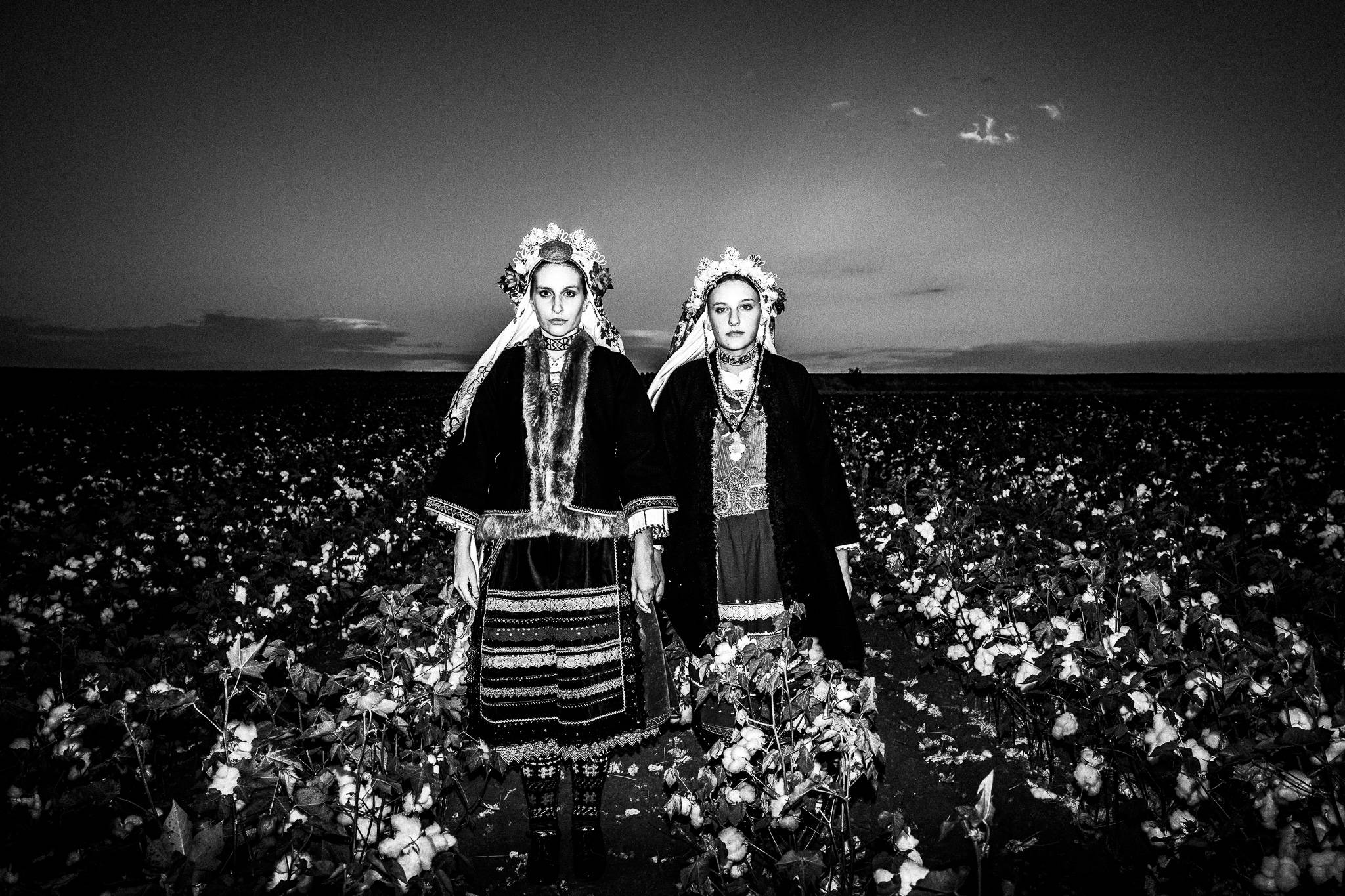 At a cotton field on the way to Vrysses village, Evros, Thrace, Greece, by photographer George Tatakis