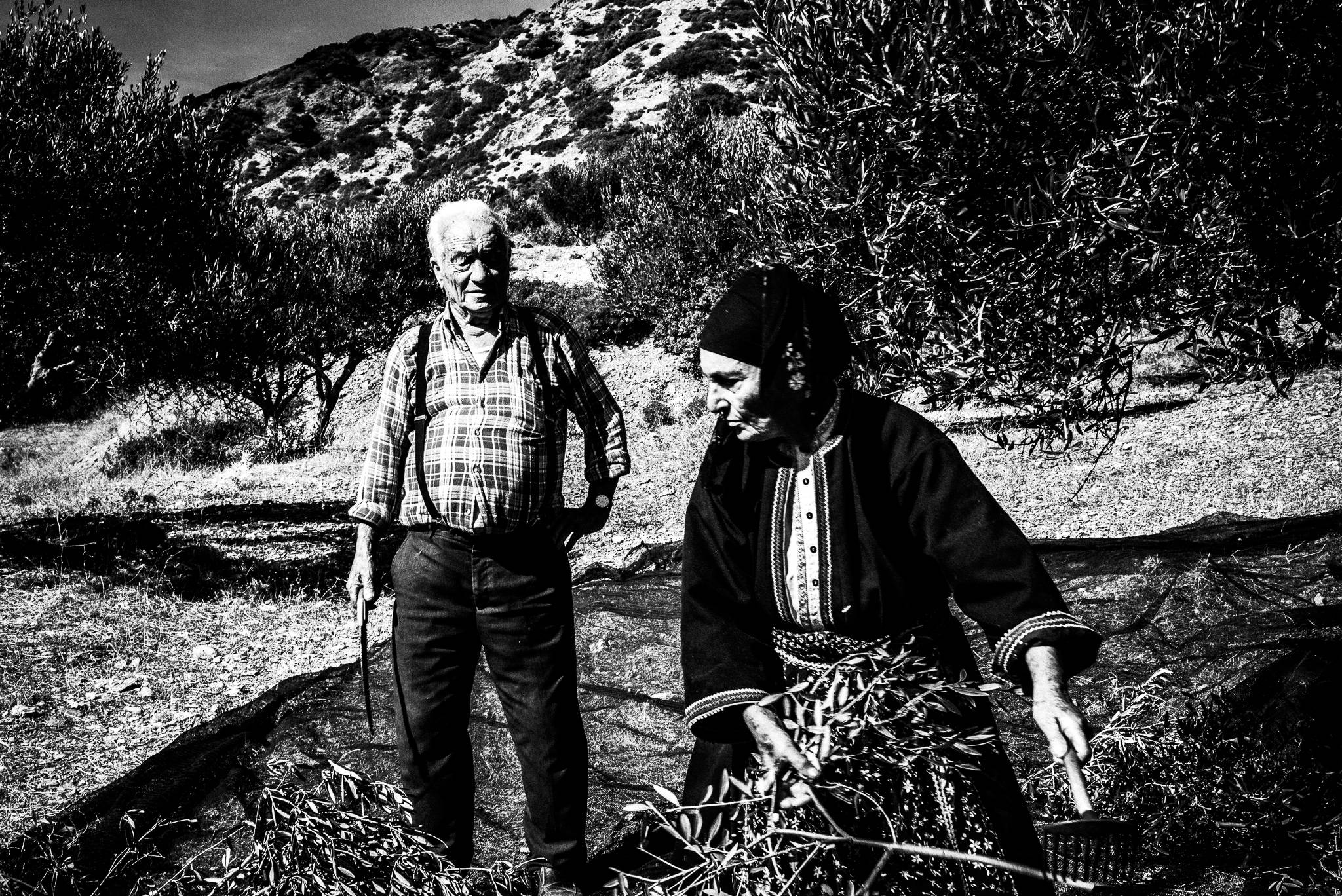 Gathering olives and pruned branches at Olympos, Karpathos, Greece. Black and white photography by George Tatakis