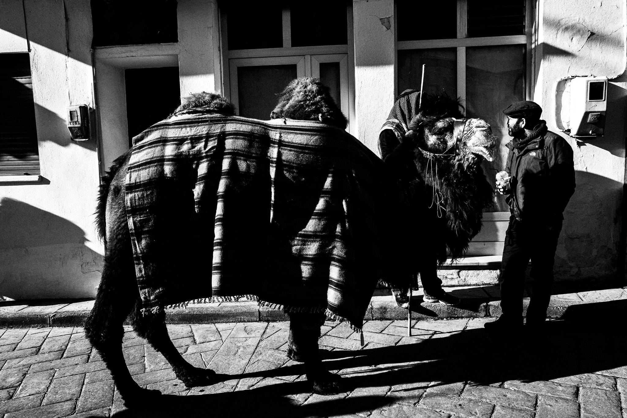 The camel of Babiden, Pagan Christmas customs of Northern Greece, by photographer George Tatakis