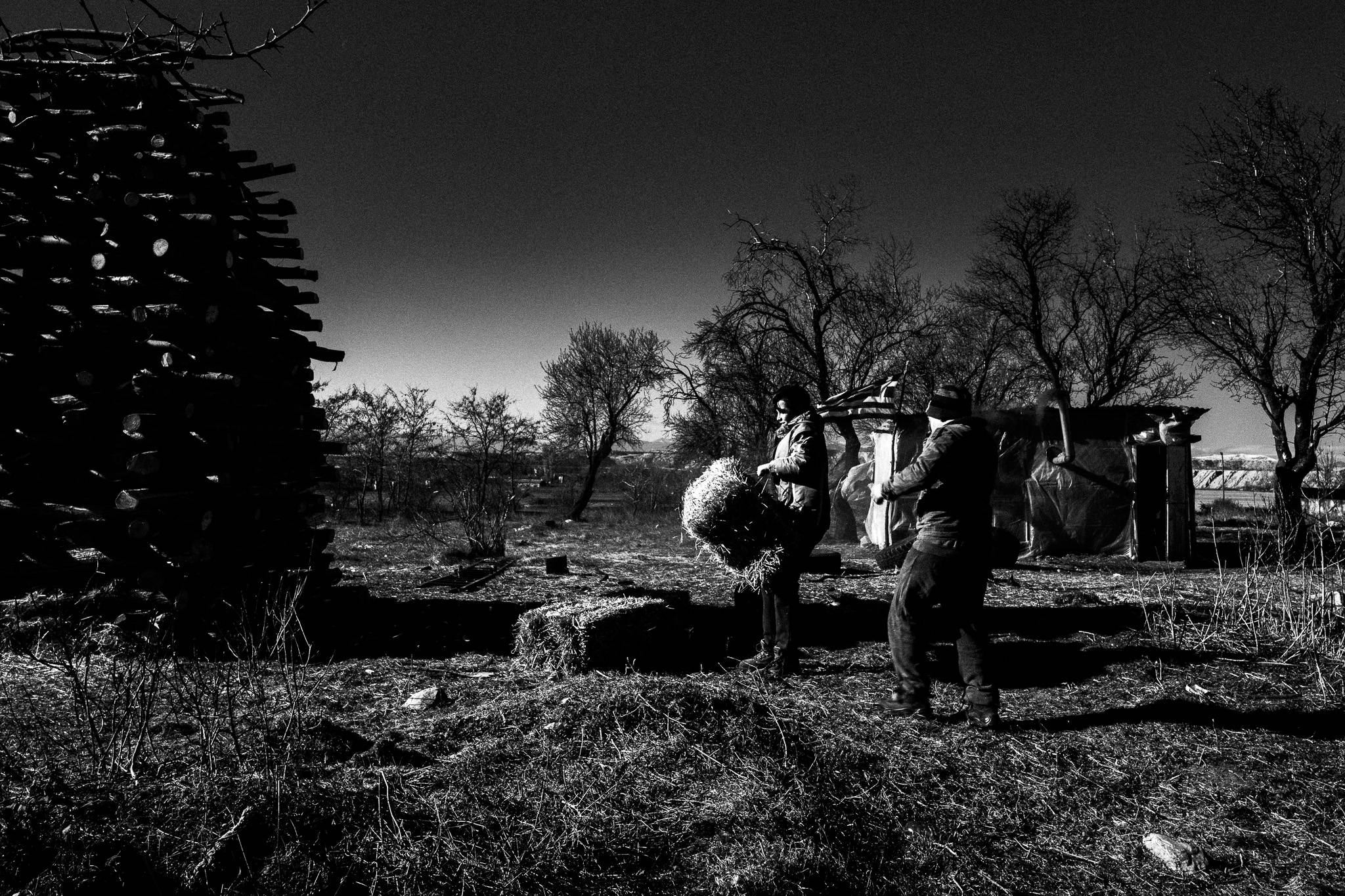 Building the pile, Pagan Christmas customs of Northern Greece, by photographer George Tatakis