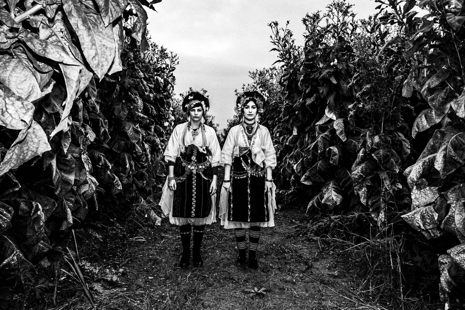 Two women wearing the 'Lazarines' costume, amidst a local tobacco implantation. Meliki, Imathia, Macedonia, Greece. Black and white photograph by George Tatakis
