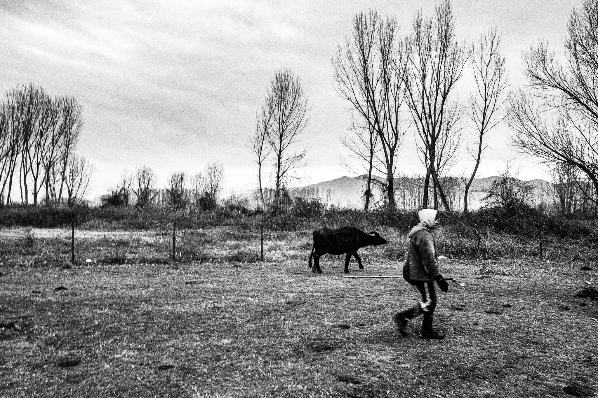 The buffalo farmer, Pagan Christmas customs of Northern Greece, by photographer George Tatakis