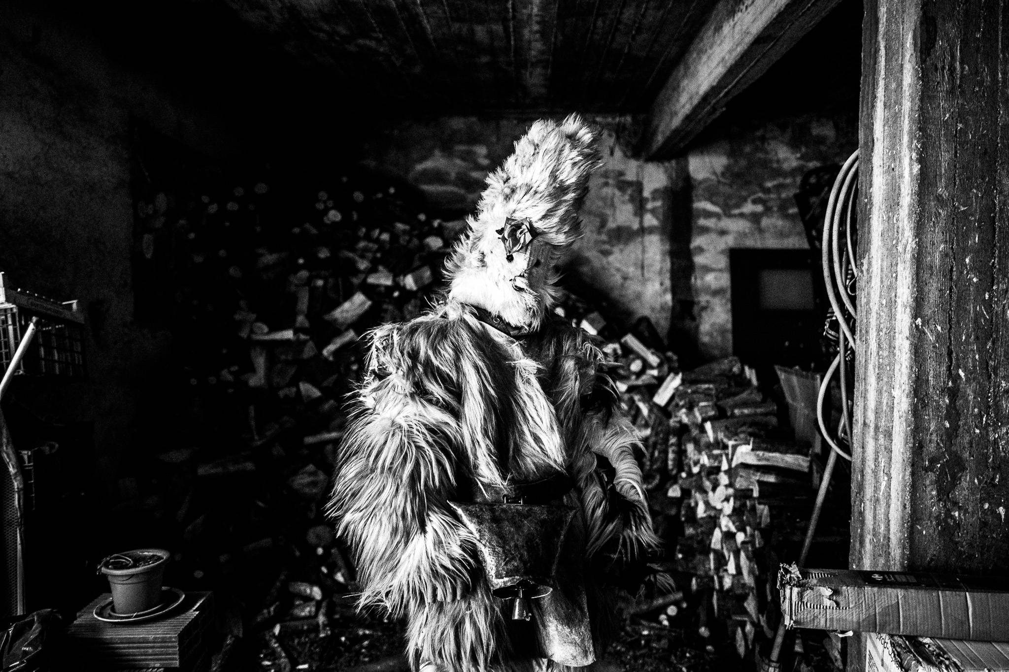 Portrait of an Arkouda (bear) inside a storage house at Volax, Drama, Pagan Christmas customs of Northern Greece, by photographer George Tatakis