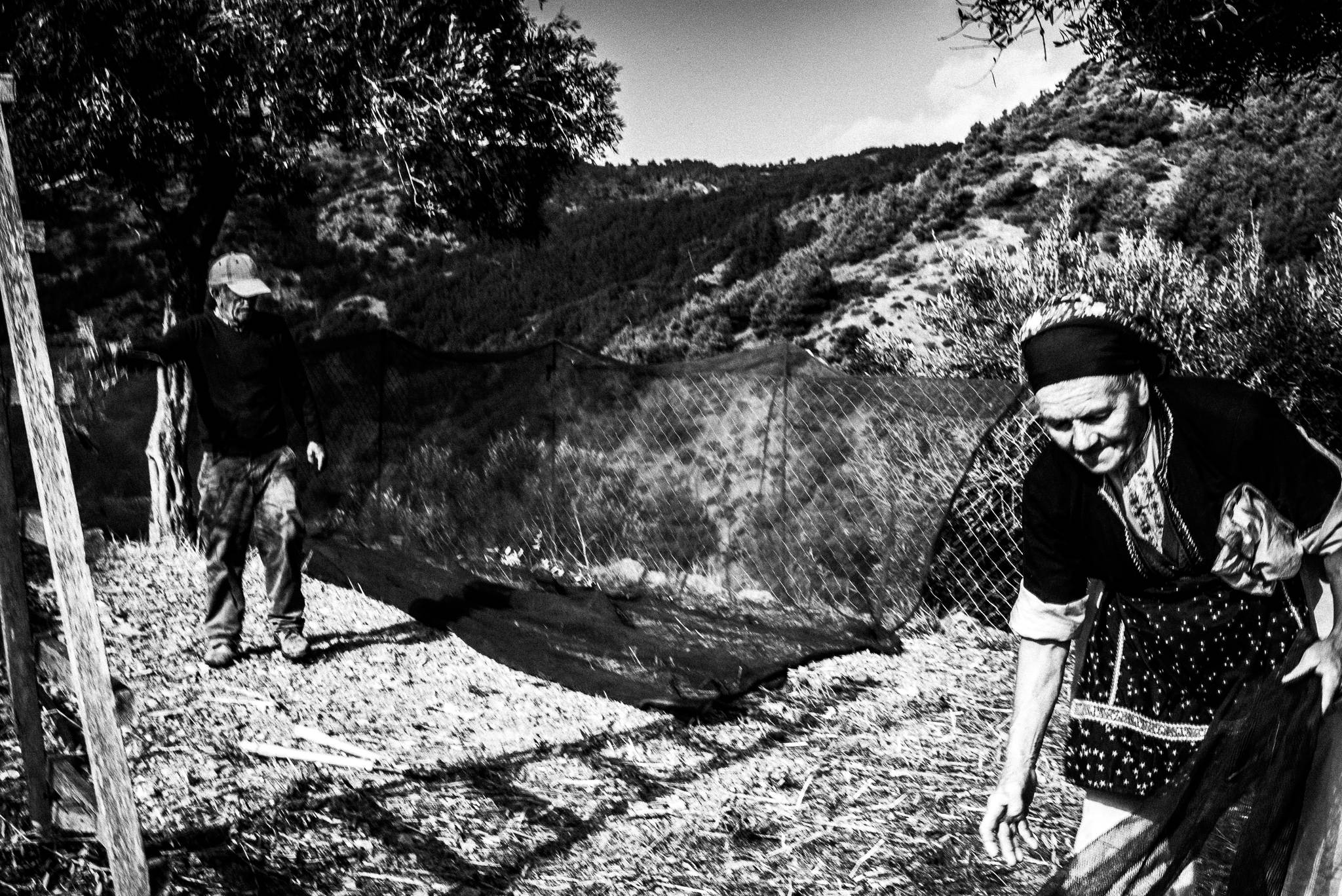 Gathering olives at Olympos, Karpathos, Greece. Black and white photography by George Tatakis
