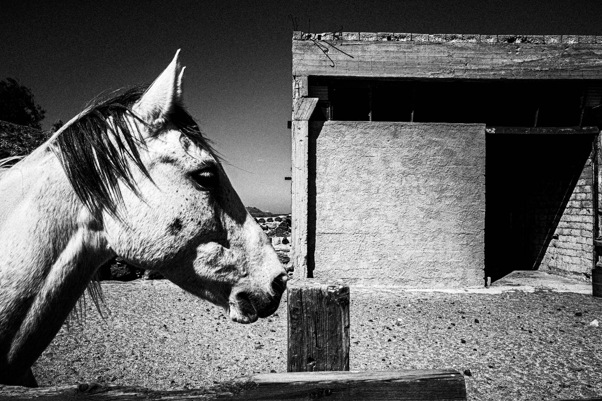 Chorōs on Santorini. Black and white photographic project from Greece, by awarded photographer George Tatakis